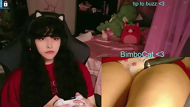 BimboCat online show from June 2026 08:29:02 PM