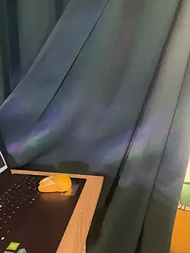 trinhvutrinh online show from April 2026 04:17:01 AM