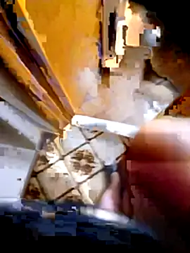 pino870 online show from February 2026 10:04:02 PM