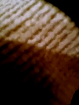 pino870 online show from February 2026 04:24:02 PM