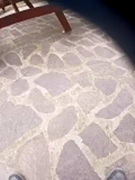 Snapshot of pino870 chatting on March 2026 01:55:02 PM pino870 online show from March 2026 01:55:02 PM