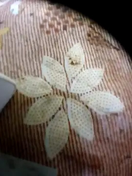 Snapshot of pino870 chatting on April 2026 11:18:02 PM pino870 online show from April 2026 11:18:02 PM