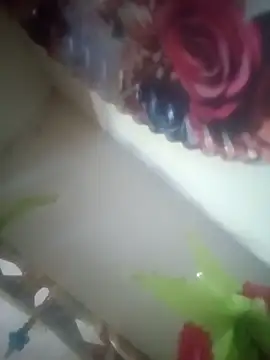 Snapshot of Pallu_Asha chatting on March 2026 10:10:02 AM Pallu Asha online show from March 2026 10:10:02 AM