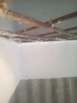 Snapshot of Pallu_Asha chatting on March 2026 01:22:01 AM Pallu Asha online show from March 2026 01:22:01 AM