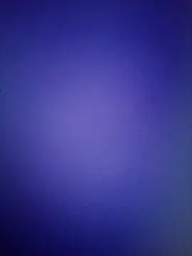 Snapshot of Pallu_Asha chatting on March 2026 01:15:01 PM Pallu Asha online show from March 2026 01:15:01 PM