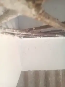 Snapshot of Pallu_Asha chatting on March 2026 01:32:02 AM Pallu Asha online show from March 2026 01:32:02 AM