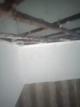 Snapshot of Pallu_Asha chatting on March 2026 12:58:02 AM Pallu Asha online show from March 2026 12:58:02 AM