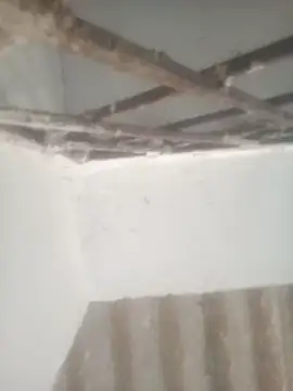 Snapshot of Pallu_Asha chatting on April 2026 12:53:01 AM Pallu Asha online show from April 2026 12:53:01 AM