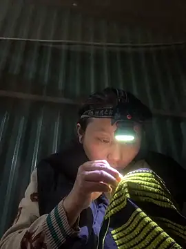 bi-bo123 online show from November 2025 02:33:01 PM