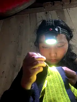 bi-bo123 online show from December 2025 01:49:02 PM