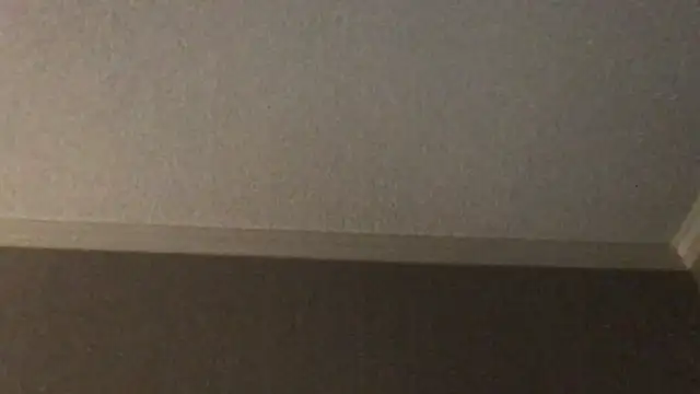 Snapshot of RyanSteeleXXX chatting on December 2025 06:41:01 AM RyanSteeleXXX online show from December 2025 06:41:01 AM