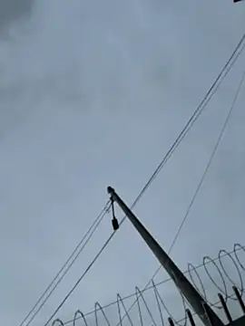 Snapshot of Samantha_firee chatting on April 2026 11:16:01 AM Samantha firee online show from April 2026 11:16:01 AM