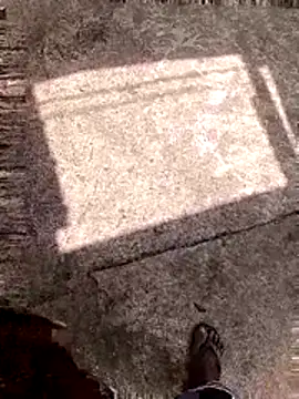 DK 9396 online show from February 2026 08:43:02 AM