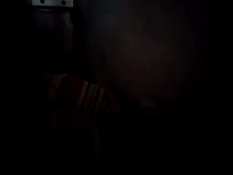 6perlas9 online show from November 2025 02:07:02 PM