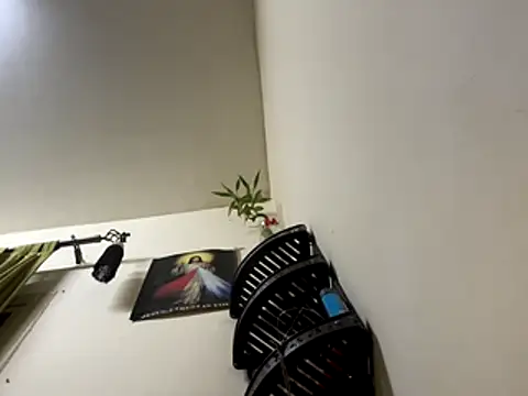 Snapshot of jishnu878 chatting on November 2025 03:45:01 PM jishnu878 online show from November 2025 03:45:01 PM