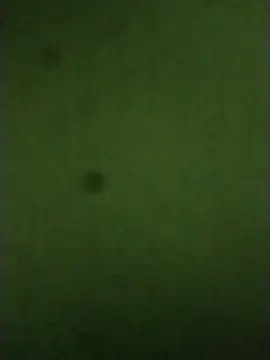 sexychd online show from December 2025 04:51:02 AM