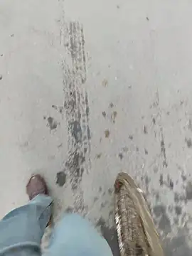 sexychd online show from December 2025 01:58:02 AM