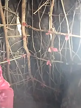 Jooli cuty online show from February 2026 11:11:01 AM