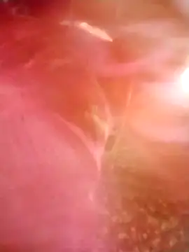 Snapshot of Jooli_cuty chatting on March 2026 02:28:01 AM Jooli cuty online show from March 2026 02:28:01 AM