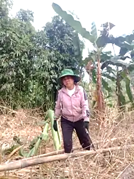 be-yeu online show from December 2025 01:44:02 AM