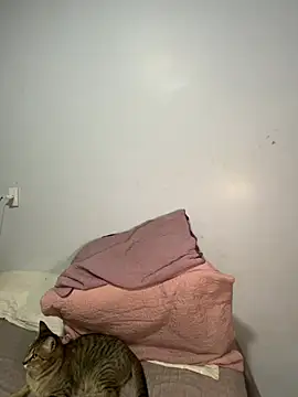 Snapshot of lele_inocente chatting on March 2026 12:16:01 AM lele inocente online show from March 2026 12:16:01 AM