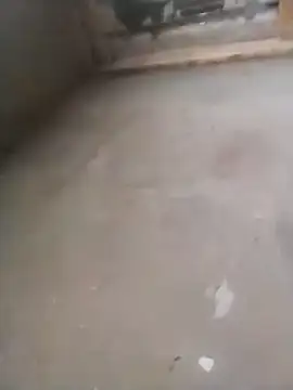 Snapshot of Lollittaxxxx2 chatting on November 2025 10:15:01 AM Lollittaxxxx2 online show from November 2025 10:15:01 AM