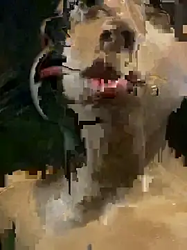 Snapshot of mara_rosseX chatting on November 2025 06:33:02 AM mara rosseX online show from November 2025 06:33:02 AM