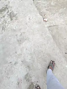 Pagalladka-89 online show from December 2025 06:51:01 AM