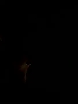 RonnySlim online show from January 2026 03:49:01 PM