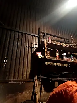 -Chua-90 online show from February 2026 11:42:02 PM