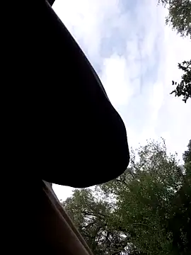 Mc02 online show from November 2025 12:38:02 PM