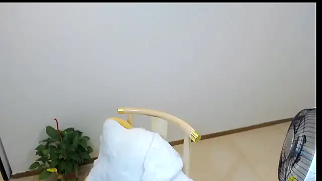 Shaurk online show from February 2026 02:53:02 AM