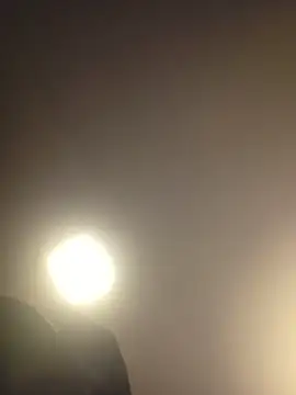 Snapshot of piggylatino chatting on March 2026 10:19:01 AM piggylatino online show from March 2026 10:19:01 AM