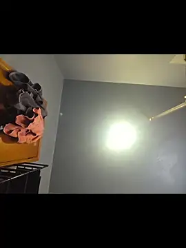 Snapshot of piggylatino chatting on March 2026 10:42:01 PM piggylatino online show from March 2026 10:42:01 PM