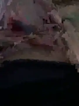 Snapshot of olive3356 chatting on December 2025 03:40:02 PM olive3356 online show from December 2025 03:40:02 PM