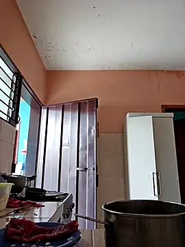 Snapshot of skinnyrox chatting on February 2026 06:17:01 PM skinnyrox online show from February 2026 06:17:01 PM