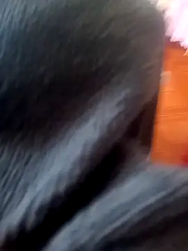 Jeison0323 online show from February 2026 08:29:01 PM