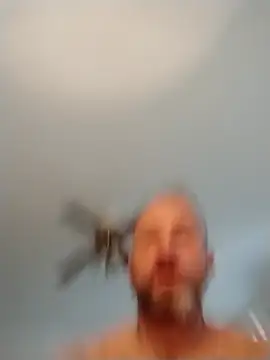 Snapshot of Primalpunishment chatting on November 2025 06:35:02 PM Primalpunishment online show from November 2025 06:35:02 PM