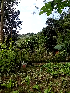 Rose-rose1234 online show from November 2025 08:02:01 AM