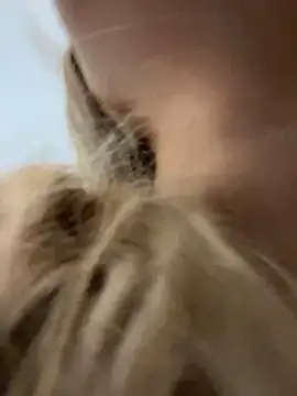 Chloe GraceeX online show from February 2026 08:40:02 PM