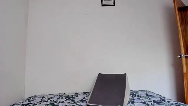 Snapshot of Jave_rave chatting on June 2026 12:40:01 PM Jave rave online show from June 2026 12:40:01 PM