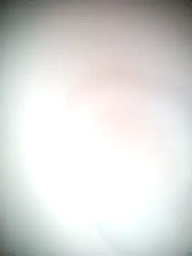 Ariana101 online show from November 2025 12:05:02 PM