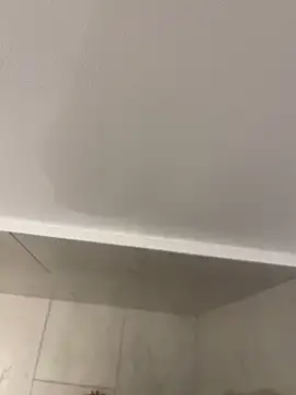 Maia0823 online show from November 2025 04:44:01 AM