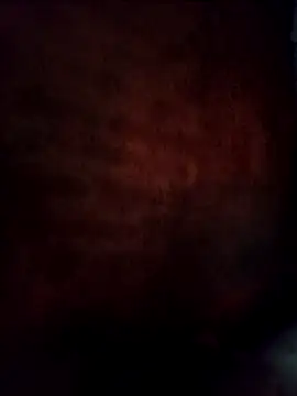 Snapshot of Jelly-squirt chatting on May 2026 10:48:01 PM Jelly-squirt online show from May 2026 10:48:01 PM