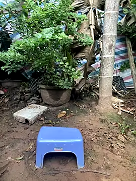 Snapshot of XndSeraphina chatting on December 2025 09:40:01 AM XndSeraphina online show from December 2025 09:40:01 AM