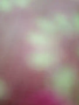 Nandani-758 online show from February 2026 09:00:02 AM