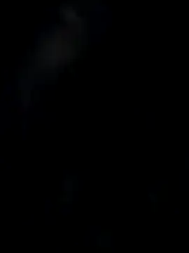 pussyfairy77toxic online show from November 2025 08:19:01 PM