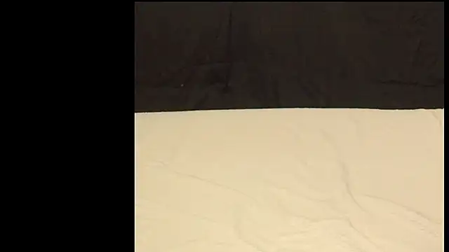 Snapshot of famous1tad chatting on March 2026 01:04:02 PM famous1tad online show from March 2026 01:04:02 PM