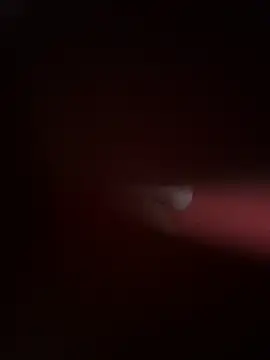 Snapshot of PartiedOmelet chatting on November 2025 07:24:02 PM PartiedOmelet online show from November 2025 07:24:02 PM