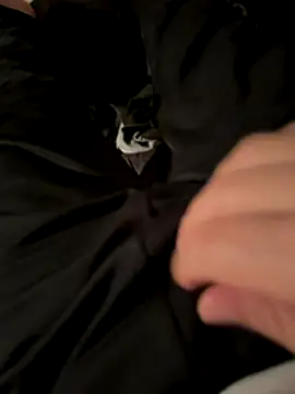 Laufla online show from December 2025 10:52:01 PM